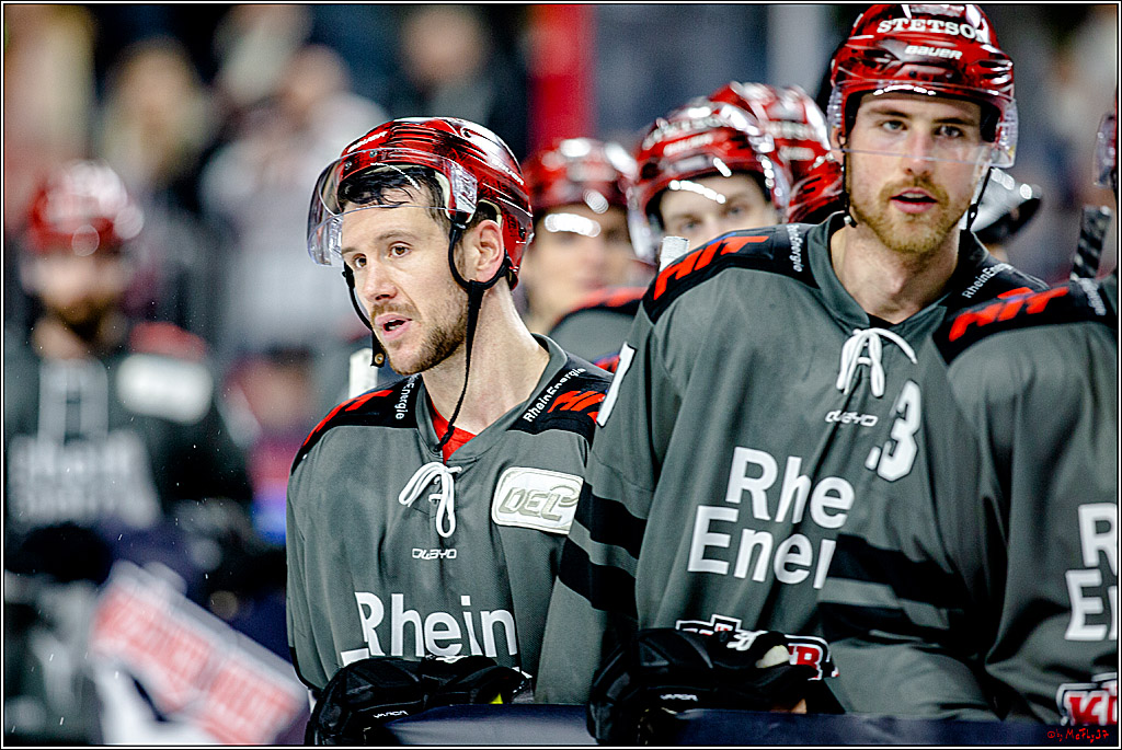 DEL; Koelner Haie - Grizzlys Wolfsburg, 26.12.2018